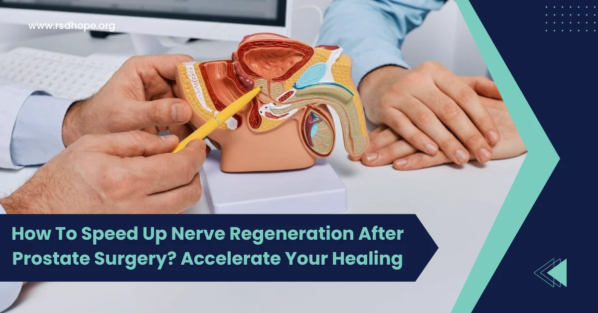 Nerve Regeneration After Prostate Surgery