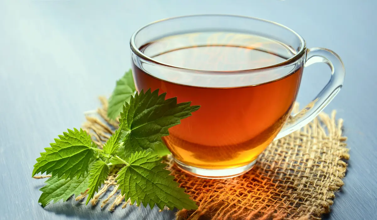 What Tea Is Good For Stomach Pain