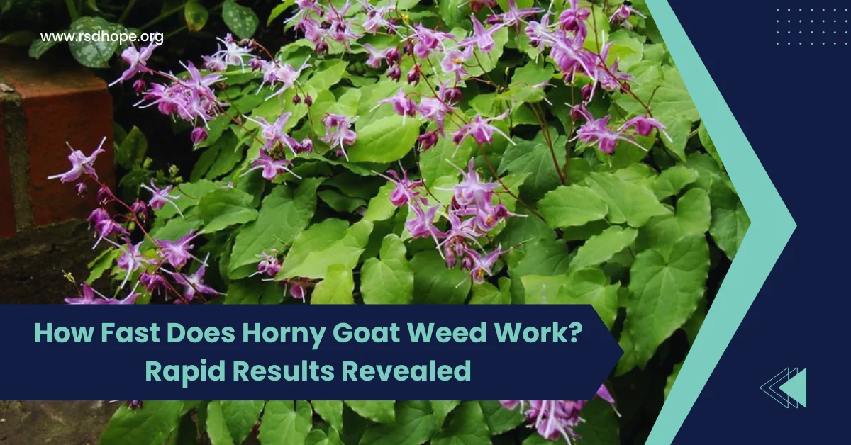 How Fast Does Horny Goat Weed Work